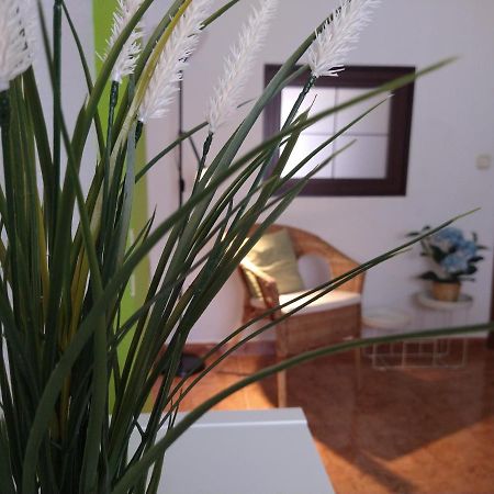 Coqueto Miniapartamento Junto Centro Torremolinos Eksteriør bilde